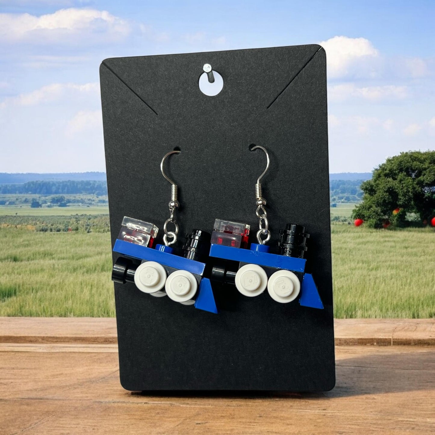 Pair of blue and black earrings on a black card with a scenic background